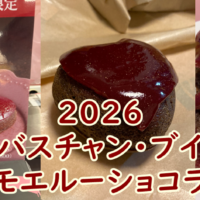 セバスチャン・ブイエのモエルーショコラ　美味しい♪